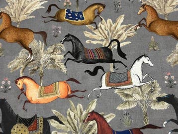 Geen reserveprijs!!! Sinfonia Equestre: Een reis tussen
