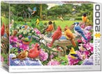 Bird Gathering Puzzel (2000 stukjes) | Eurographics -, Verzenden, Nieuw