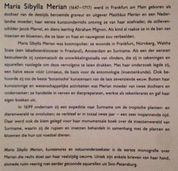 Maria Sibylla Merian : 1647-1717 : kunstenares en, Ophalen of Verzenden, Nieuw