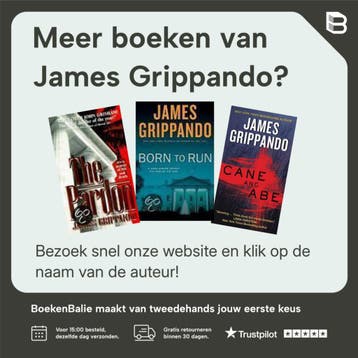 De verklikker - James Grippando 9789085197744, Verzenden, Gelezen, James Grippando