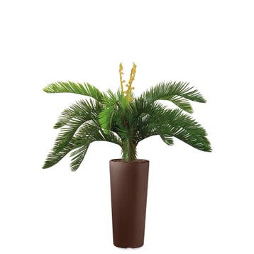 Cycas kunstplant, H105cm, Ophalen of Verzenden, Palm, 100 tot 150 cm
