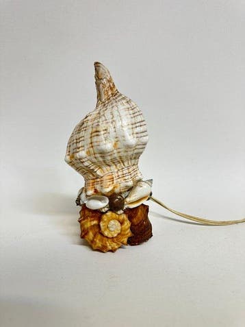 schelp Zeeschelp - Seashell Table Lamp (Zonder minimumprijs), Verzamelen, Nieuw