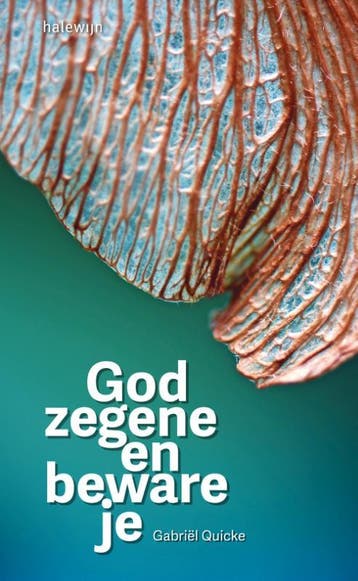 God zegene en beware je - Gabriel Quicke 9789085284437, Verzenden, Zo goed als nieuw, Gabriel Quicke