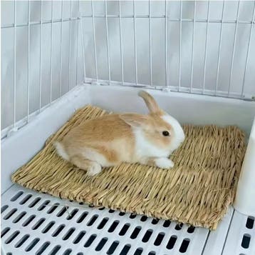 Natuurlijke Grasmat voor Konijnen en Knaagdieren Kooi Mat, Verzenden, Nieuw