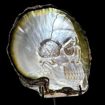 Fijn uitgehouwen parelmoeren schelp - menselijk, Antiek en Kunst