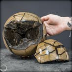 Majestueus Septarien-draak-ei met afneembare deksel –