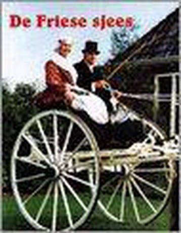 FRIESSE SJEES - H. de Haan 9789067074322, Verzenden, Gelezen, H. de Haan