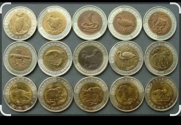 Rusland. Set of 15 coins: 5, 10, 50 Roubles 1991/1994 - Red