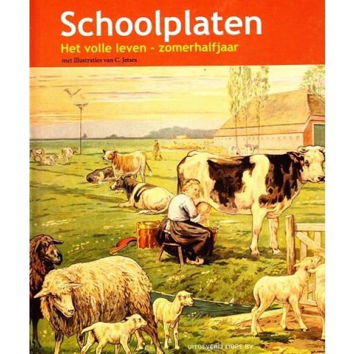 Schoolplaat het volle leven 9789079758326 F. van Dulmen, Boeken, Geschiedenis | Vaderland, Gelezen, Verzenden