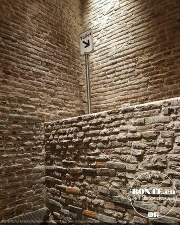 BONTE®  decoratieve stenen wanden. Ook zelf te metselen!, Ophalen of Verzenden, Nieuw, Overige typen