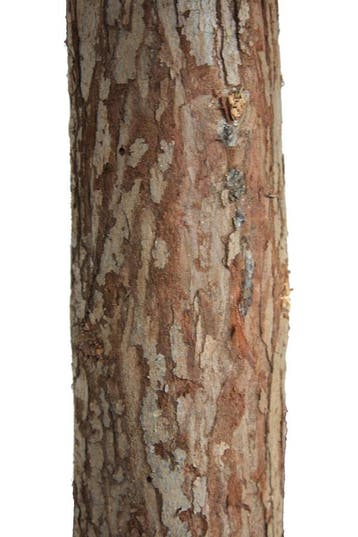 Sneeuw Kerstboom 180cm | Laatste Stuks!, Diversen, Kerst, Ophalen of Verzenden, Nieuw