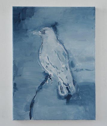 Matthieu van Riel - Bird