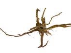 Driftwood Selected  DW55 - 52x30x22cm (Small drift wood), Dieren en Toebehoren, Vissen | Aquaria en Toebehoren, Ophalen of Verzenden