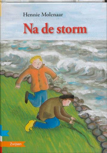 Na de storm / Boekbende - Hennie Molenaar 9789048703180, Verzenden, Zo goed als nieuw, Hennie Molenaar