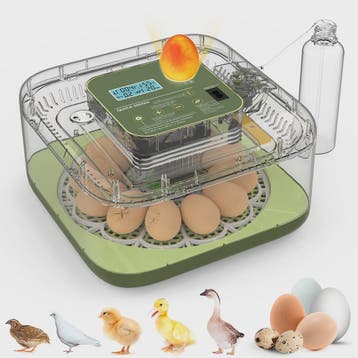 Automatische Incubator voor 12 Eieren met Temperatuur- en Vo, Verzenden, Nieuw