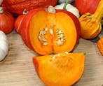 Bol-p-5106 f1 organic biologische kabocha kleinverpakking, Hobby en Vrije tijd, Ophalen of Verzenden, Nieuw