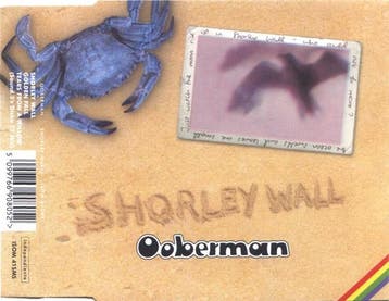 cd single - Ooberman - Shorley Wall, Verzenden, Zo goed als nieuw, Rock en Metal