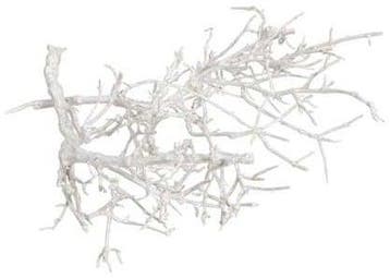 Dry Tree Takjes Twijg White Wash ca. 250 gr, Ophalen of Verzenden, Nieuw