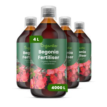 Vloeibare meststof voor begonia - 4x1 liter, Verzenden, Mest