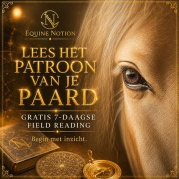 Ontdek het patroon van je paard