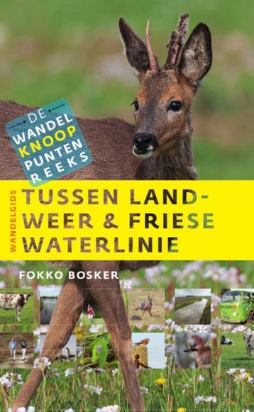 Tussen Landweer & Friese Waterlinie | Fokko Bosker | Nieuw, Ophalen of Verzenden, Nieuw, Fokko Bosker