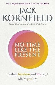 No Time Like the Present - Jack Kornfield 9781846045431, Boeken, Taal | Engels, Gelezen, Verzenden