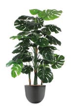 Monstera kunstplant, H145cm, Ophalen of Verzenden, Overige soorten, 100 tot 150 cm