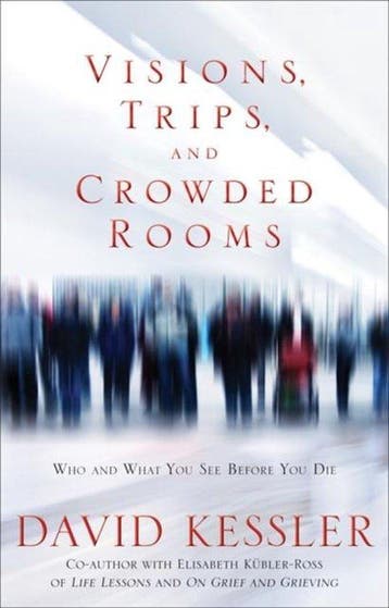 9781848503380 Visions Trips  Crowded Rooms, Verzenden, Nieuw, David Kessler