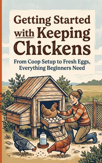 Getting Started With Keeping Chickens |  | Nieuw, Ophalen of Verzenden, Nieuw