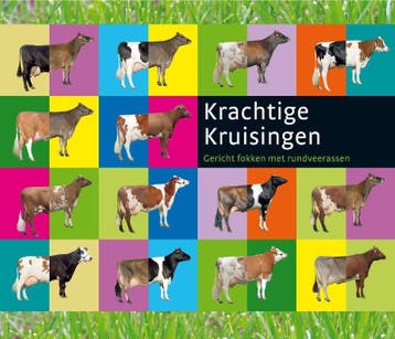Krachtige kruisingen - A. Booij 9789075280838, Verzenden, Gelezen, A. Booij