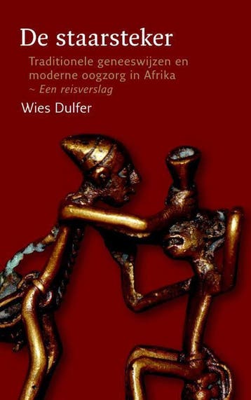 De staarsteker - Wies Dulfer 9789460221675, Boeken, Verzenden, Zo goed als nieuw, Wies Dulfer