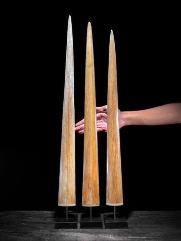 Geen reserveprijs - Indrukwekkende grote set van 3, Antiek en Kunst