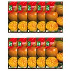 Tomatenzaad | VT | 10 stuks (Ananastomaat), Verzenden