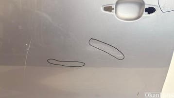 Peugeot Expert Rechter schuifdeur rechts, Ophalen, Gebruikt, Rechts, Deur