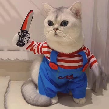 Grappige Huisdier Kostuum - Halloween Cosplay Outfit voor Ka, Verzenden, Nieuw