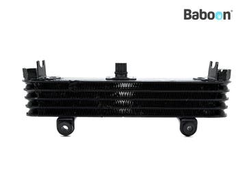 Oliekoeler Yamaha XJ 900 S Diversion 1995-2004 (XJ900 XJ900S, Motoren, Verzenden, Gebruikt