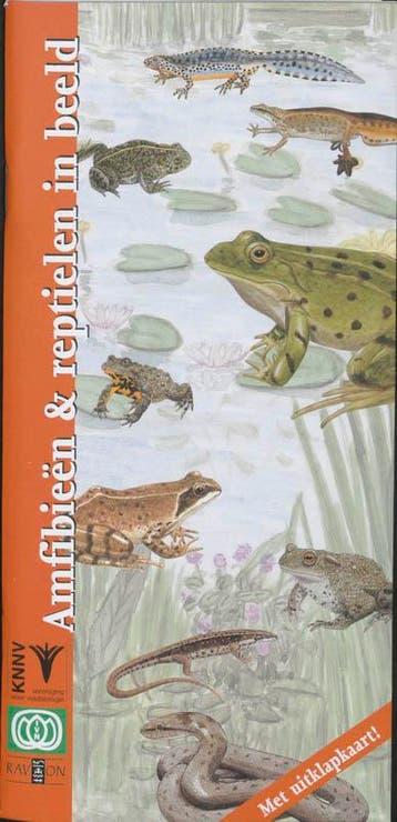Amfibieen en reptielen in beeld / In beeld / 8 9789050111652, Verzenden, Gelezen, F. Bos