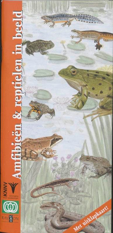 Amfibieen en reptielen in beeld / In beeld / 8 9789050111652, Boeken, Hobby en Vrije tijd, Gelezen, Verzenden