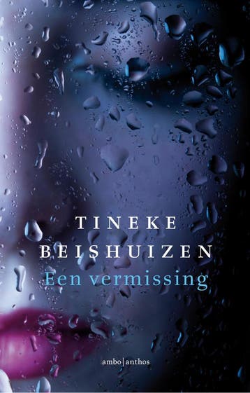 Een vermissing - Tineke Beishuizen 9789026344398, Boeken, Verzenden, Zo goed als nieuw, Tineke Beishuizen