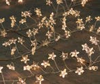 CBD B.O. Zilverdraad cluster ster 6/18 H timer 100 LED - 1,2, Verzenden