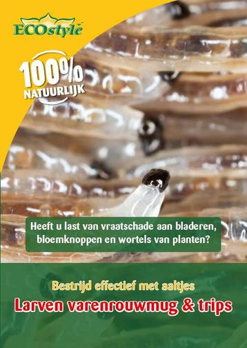 ECOstyle Aaltjes tegen larven van trips (10 m²), Verzenden