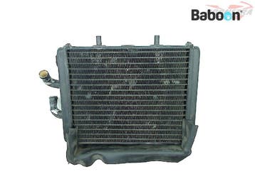 Radiateur Aprilia Leonardo 125, Verzenden, Gebruikt