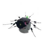 Soldeerkit | Whadda | Insect (Zonnepaneel, led, Batterijen), Doe-het-zelf en Verbouw, Verzenden, Nieuw