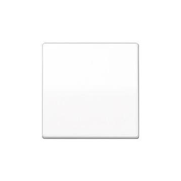 JUNG AS500 intelligente Bedieningswip voor tastdimmer Alpine, Ophalen of Verzenden, Nieuw