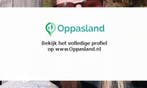 Ik ben Carola, 32 jaar oud en ik zoek oppaswerk in Zetten., Diensten en Vakmensen, Dieren | Honden | Verzorging, Oppas en Les