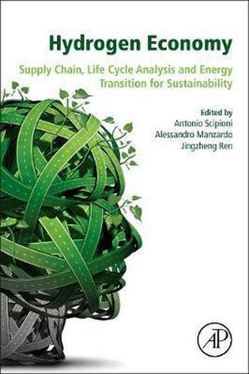 Boek Hydrogen Economy 9780128111321, Verzenden, Zo goed als nieuw
