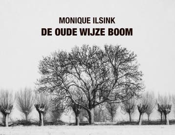 De oude wijze boom - Monique Ilsink 9789079735303, Verzenden, Zo goed als nieuw, Monique Ilsink