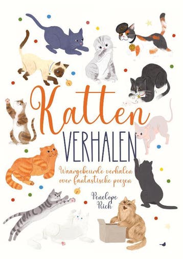 Kattenverhalen | Penelope Rich; Isabel Muñoz | Nieuw, Ophalen of Verzenden, Nieuw, Penelope Rich; Isabel Muñoz