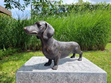 Beeldje - Grote teckel hond - Brons