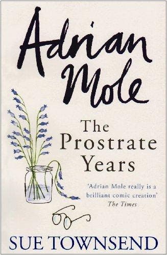 Adrian Mole - Sue Townsend 9780718154264, Boeken, Verzenden, Zo goed als nieuw, Sue Townsend